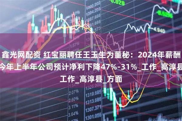 鑫光网配资 红宝丽聘任王玉生为董秘：2024年薪酬77万 今年上半年公司预计净利下降47%-31%_工作_高淳县_方面
