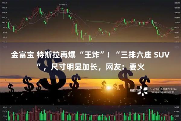 金富宝 特斯拉再爆 “王炸”！“三排六座 SUV”，尺寸明显加长，网友：要火