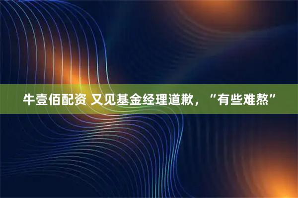 牛壹佰配资 又见基金经理道歉，“有些难熬”